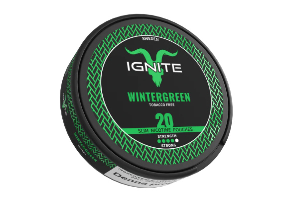 IGNITE Pouches Wintergreen 14g